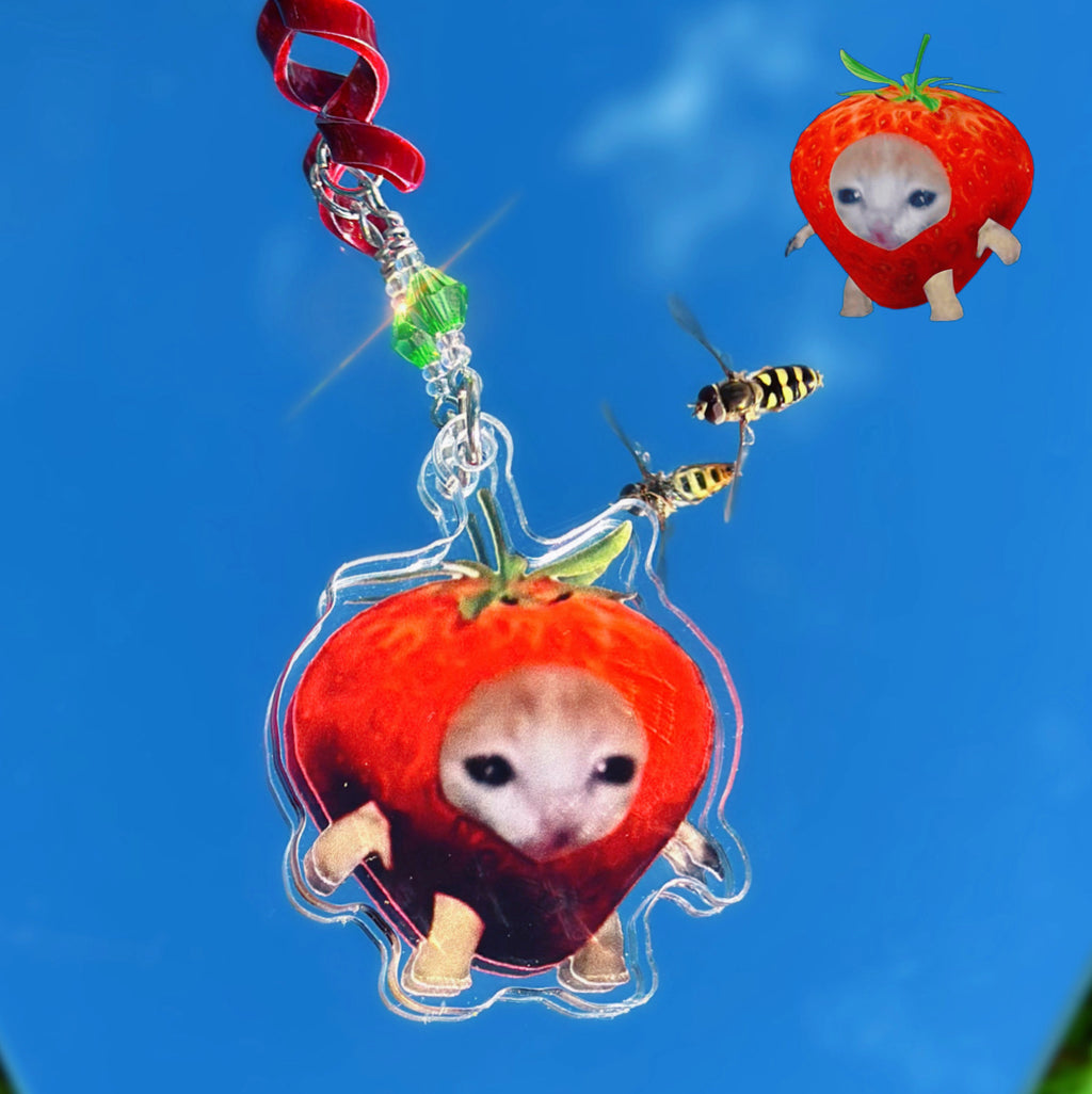Red Strawberry Cat